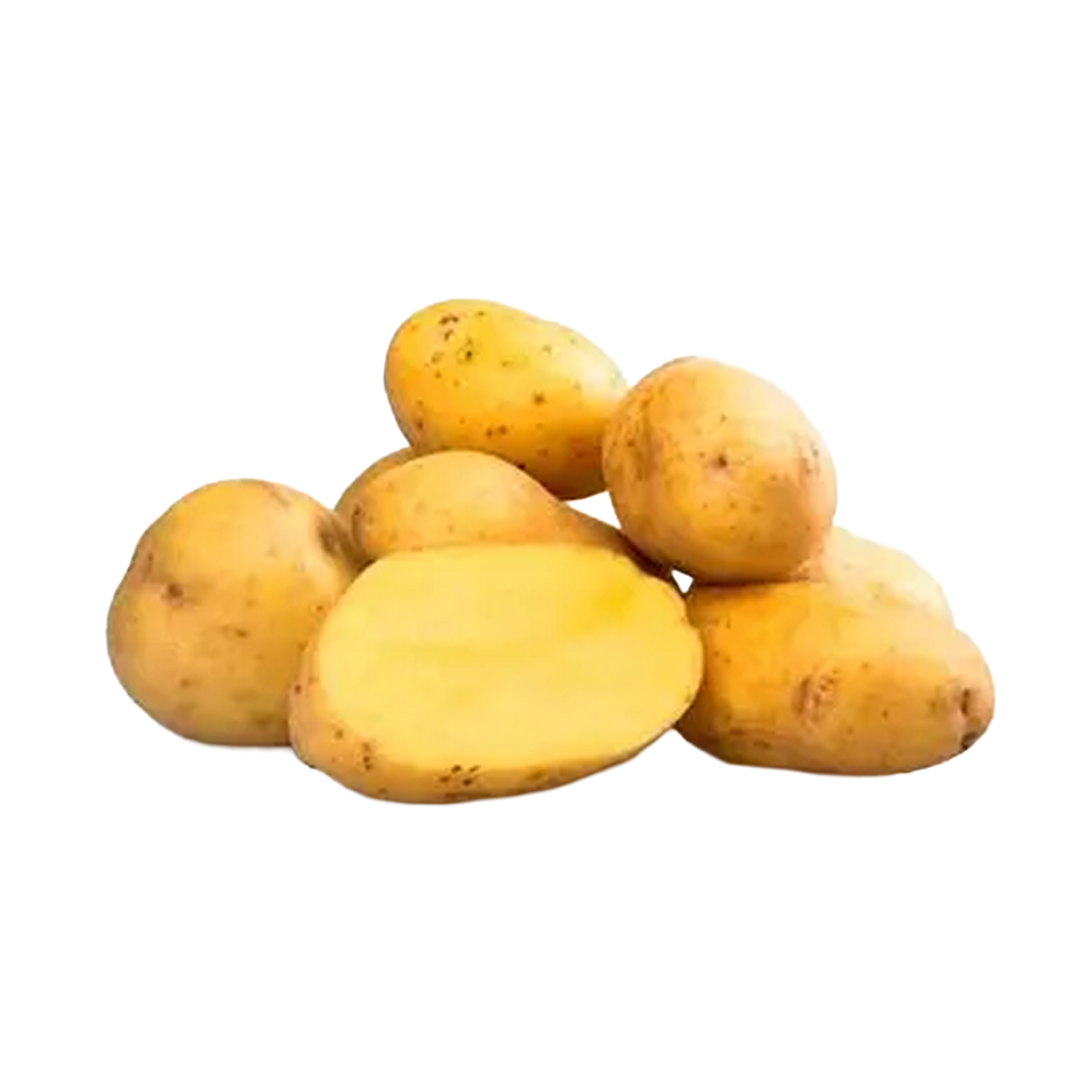 Potato Yukon