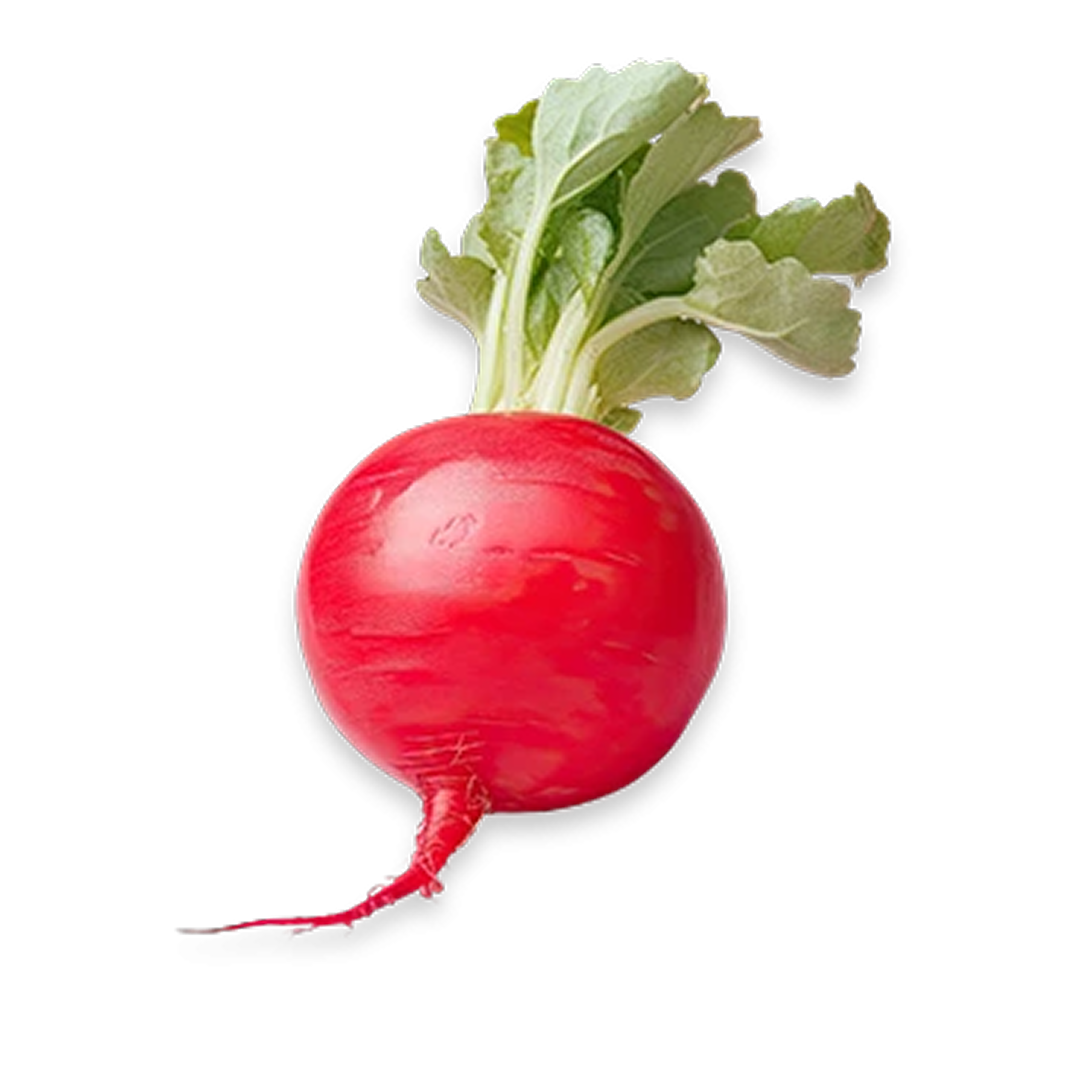 Radish Red Fresh ( Local )