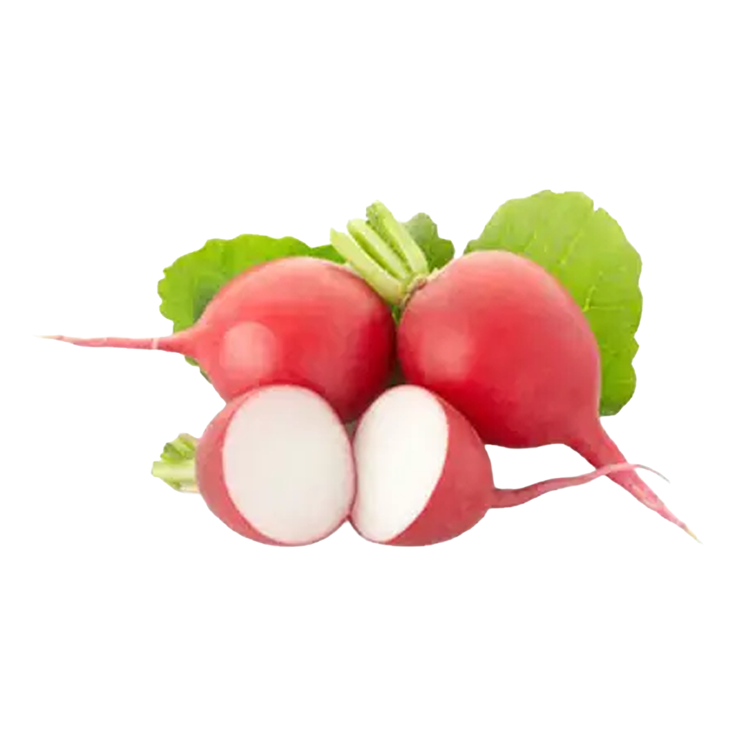 Red Radish Holland