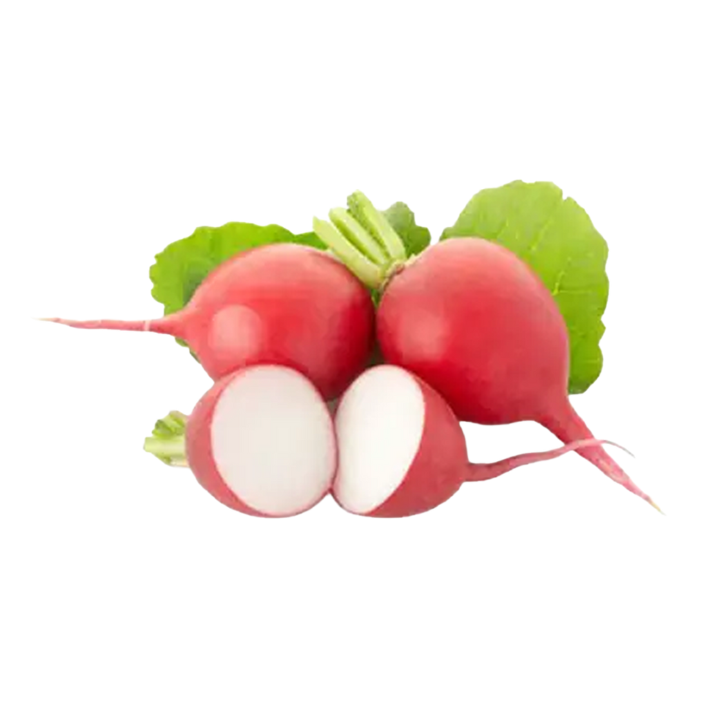 Red Radish Holland