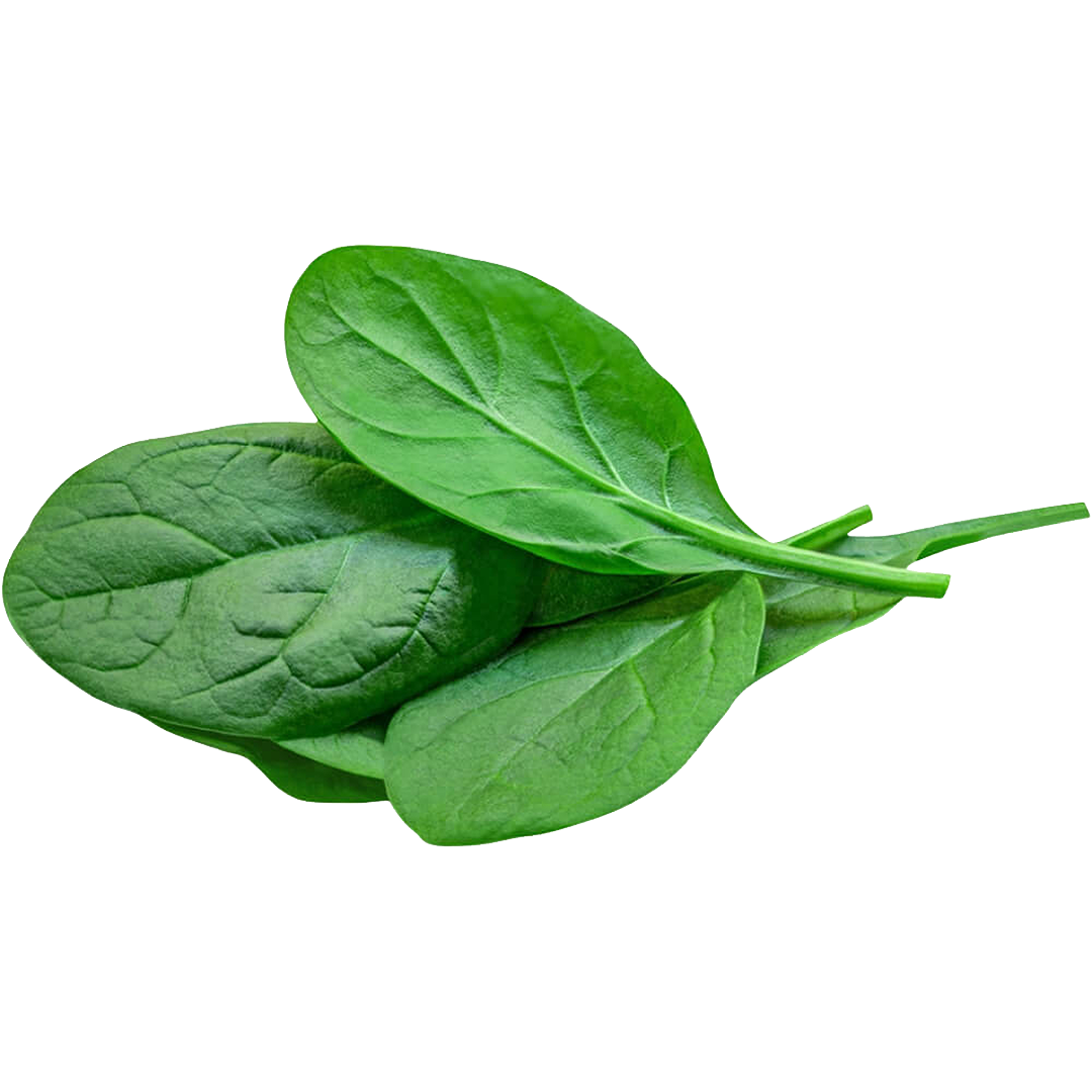 Baby Spinach