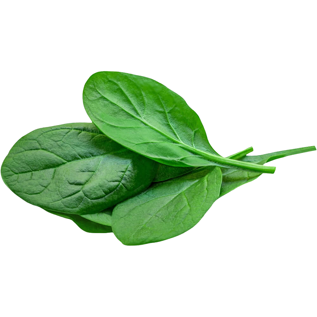 Baby Spinach