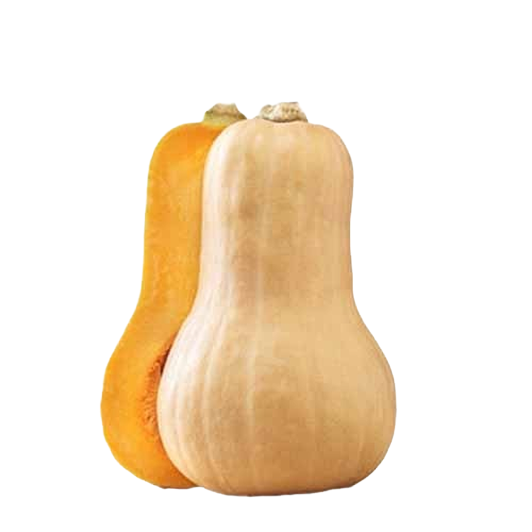 Squash Fresh