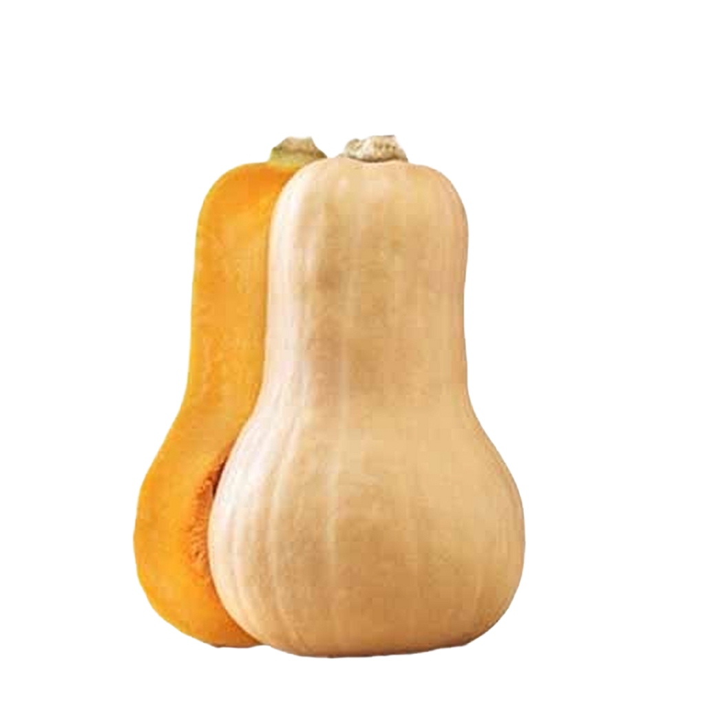 Squash Fresh
