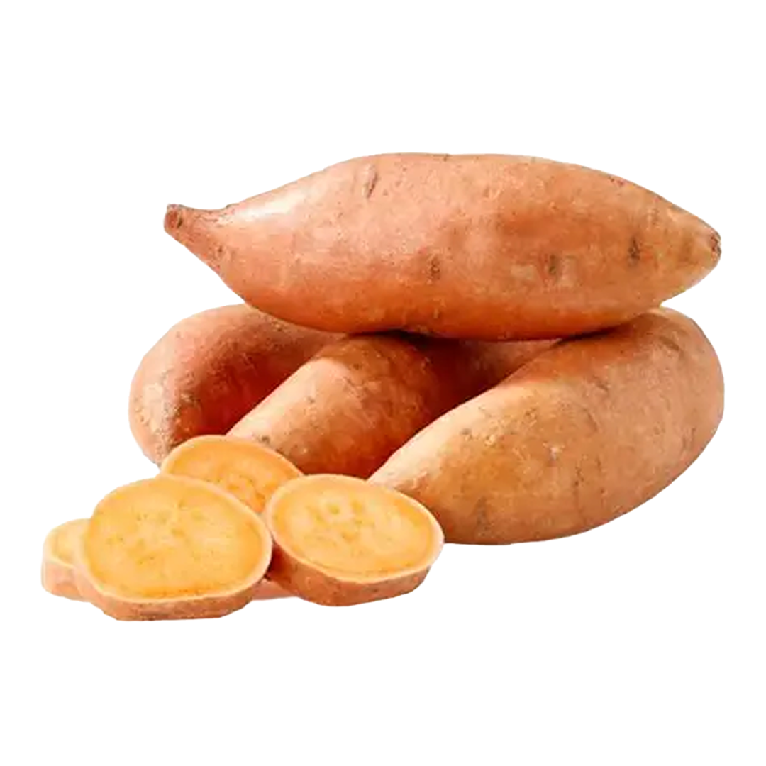 Sweet Potato Egypt