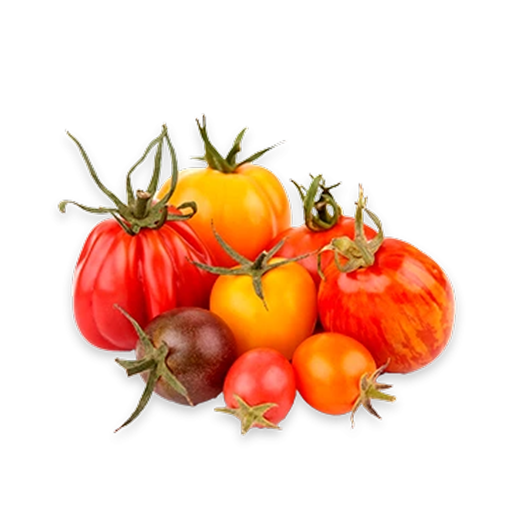 Tomato Heirloom